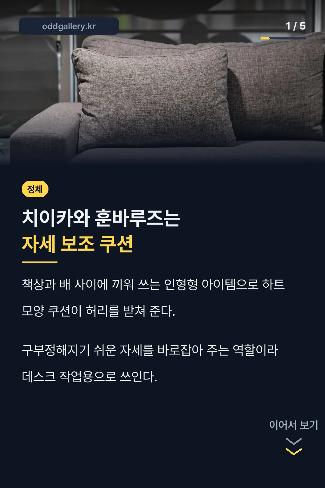 치이카와 훈바루즈 자세 보조 쿠션 정체