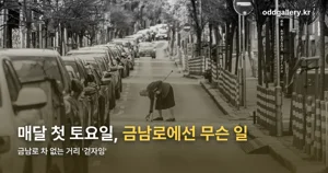 금남로 차 없는 거리 ‘걷자잉’ — 11월 7일 송년회까지, 월별 프로그램 정리