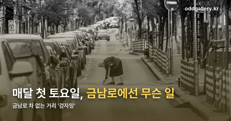 금남로 차 없는 거리 '걷자잉' 정리 썸네일