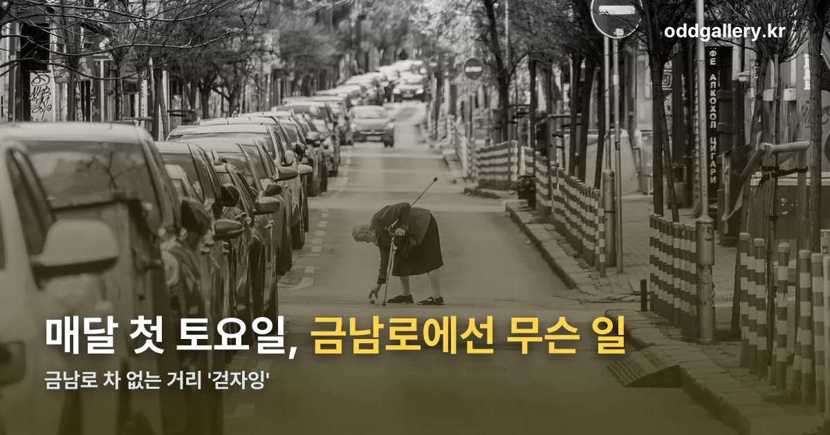 금남로 차 없는 거리 '걷자잉' 정리 썸네일