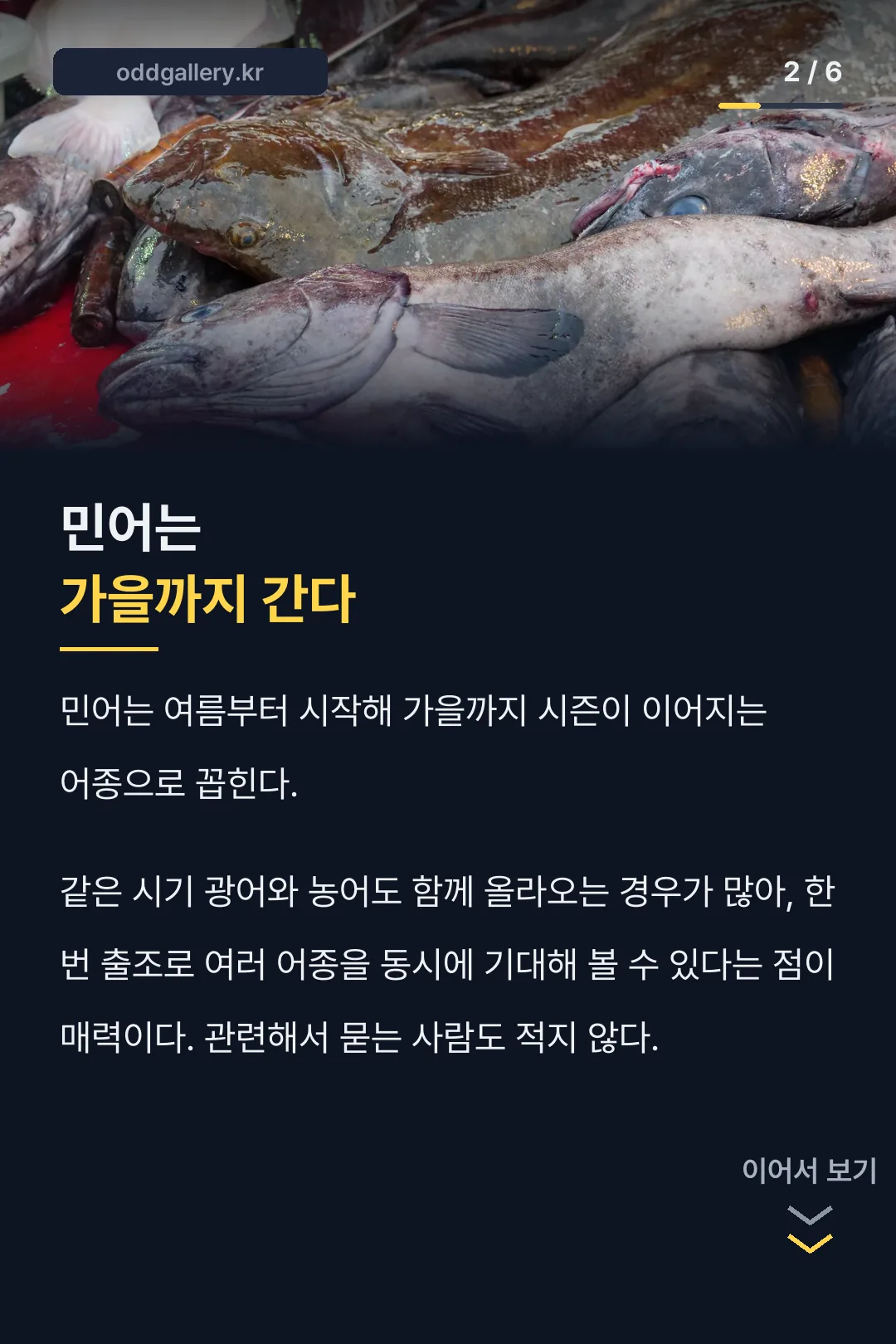 민어 시즌