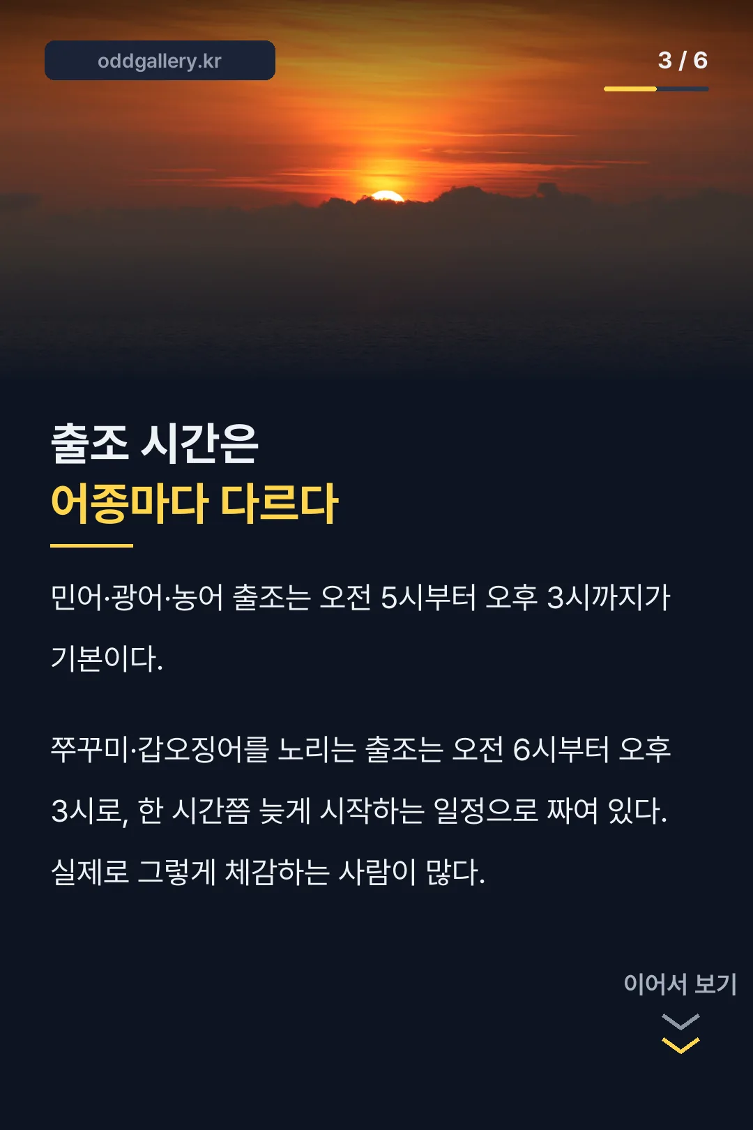 출조 시간표