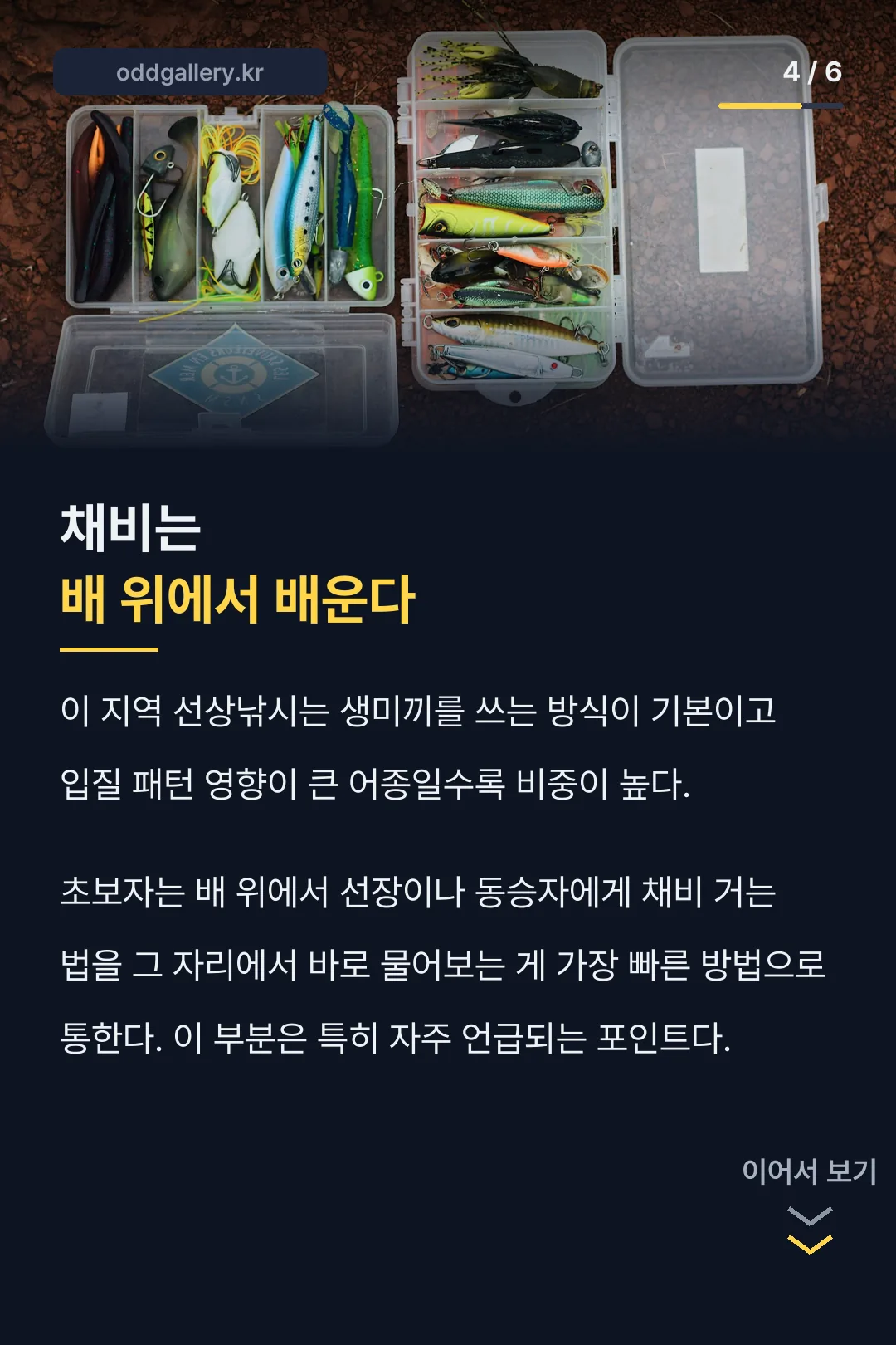 채비와 미끼