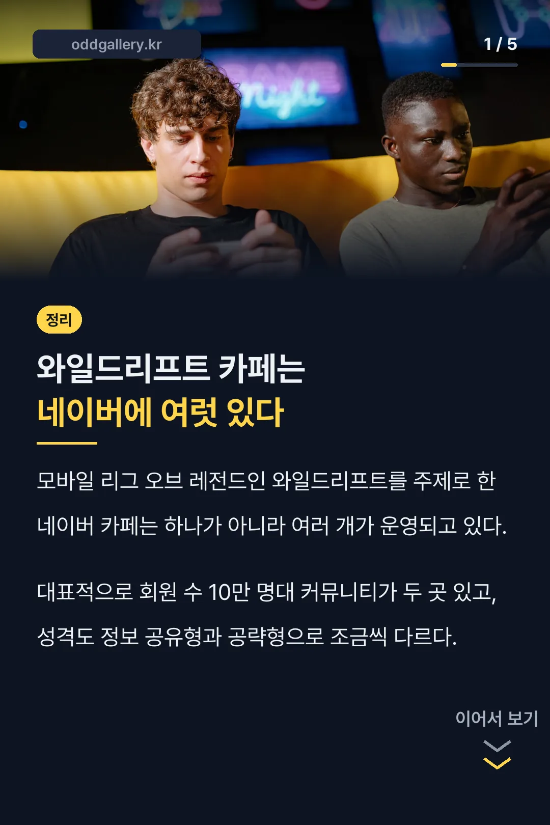 와일드리프트 카페 정리