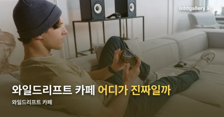 와일드리프트 카페, 어디로 가입해야 할까